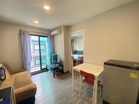 ��¤͹� �ҧ���� �������