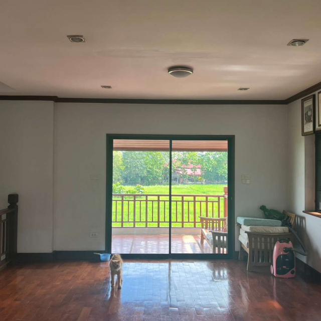 ��º�ҹ �ѹ��ᾧ ��§����