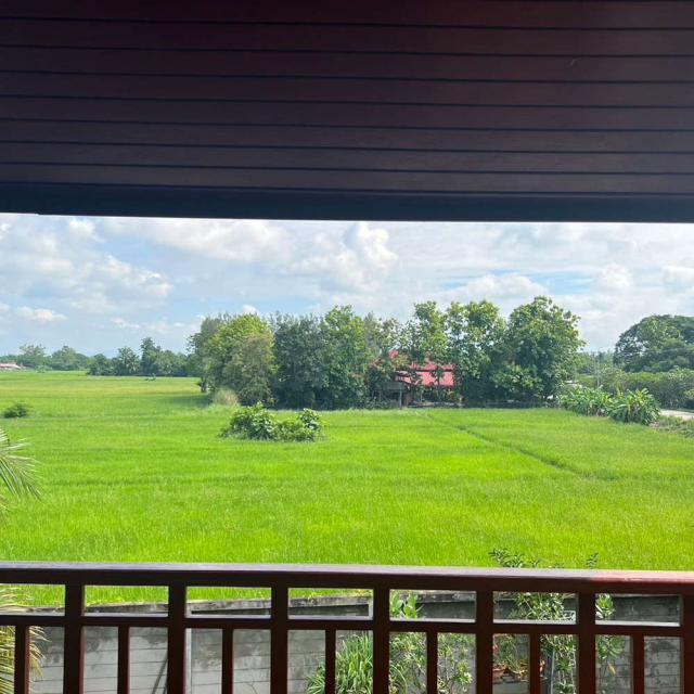 ��º�ҹ �ѹ��ᾧ ��§����