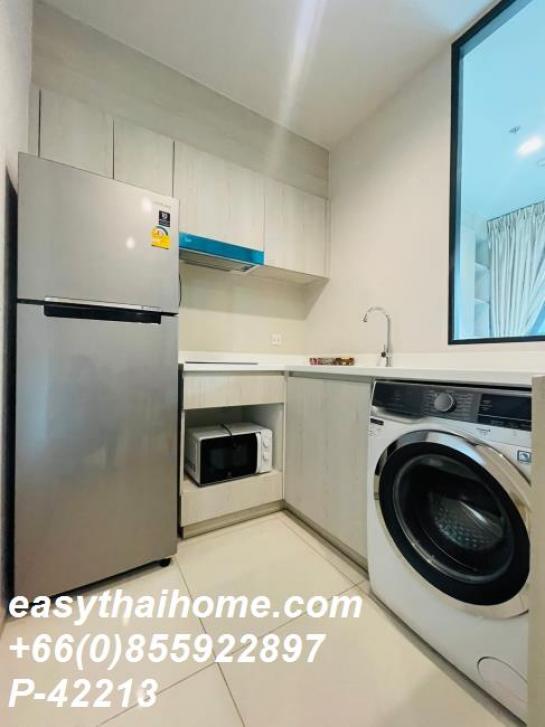 �͹������� �����ѹ��ا෾