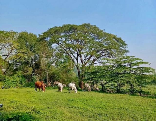 ��·��Թ ���ͧ��к��� ��к���