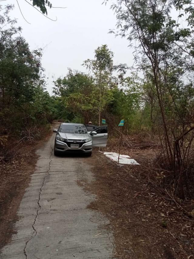 ��·��Թ ��оط��ҷ ��к���