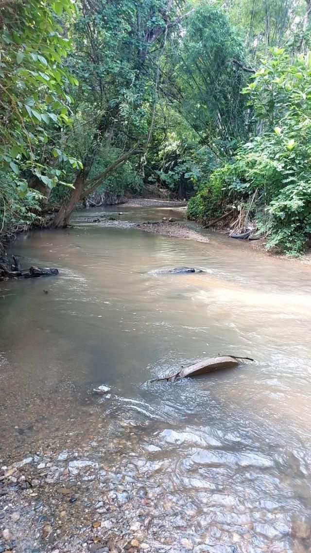 ��·��Թ ����ͧ ��§����