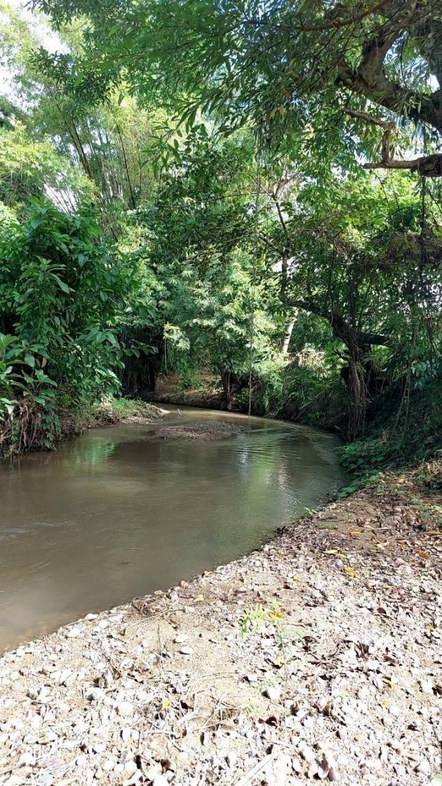 ��·��Թ ����ͧ ��§����