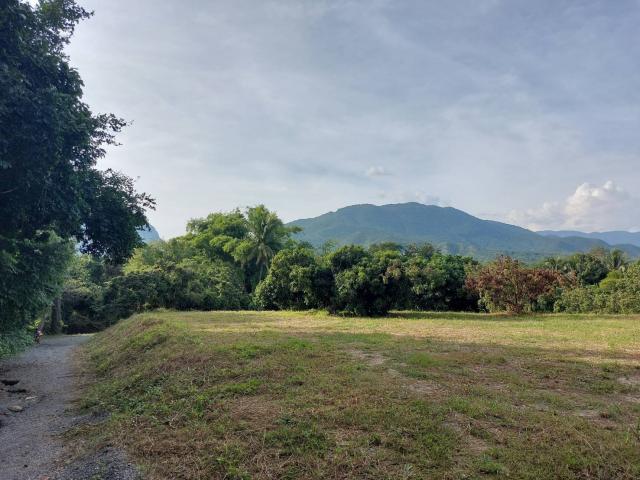 ��·��Թ ����ͧ ��§����