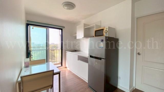 ��¤͹� �ط����� ��û��