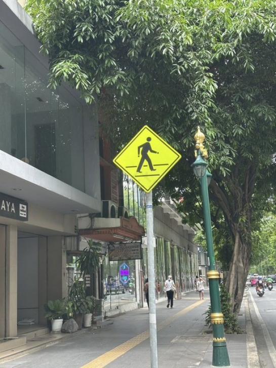 �Ҥ�þҳԪ�������� �Ѳ�ҡ�ا෾