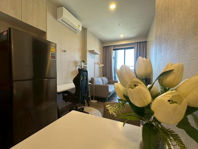 �͹������� ����Ҫ� �ź���