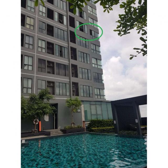 ��¤͹� �����ա�ا෾