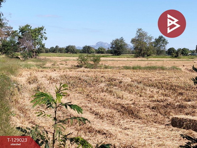 ��·��Թ ������ ��к���