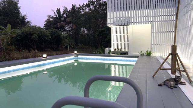 ��ҹ������ �ѹ��ᾧ ��§����