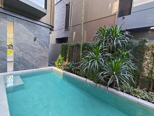 ��ҹ������ �ѧ�ͧ��ҧ��ا෾