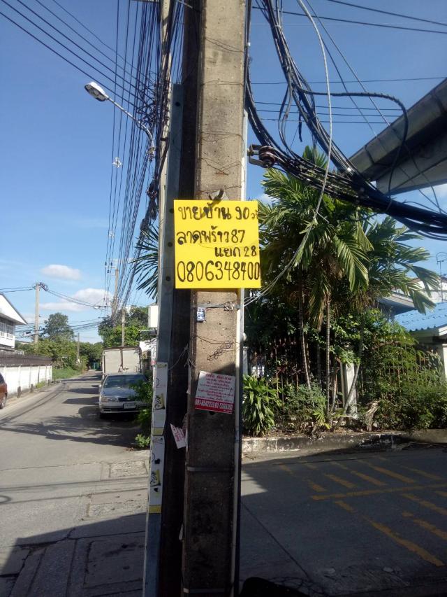 ��º�ҹ �ѧ�ͧ��ҧ��ا෾