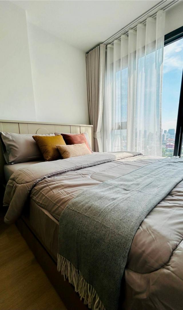 �͹������� �Թᴧ��ا෾