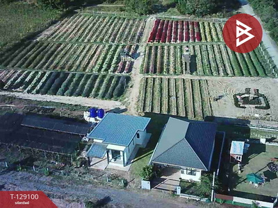 ��·��Թ ���ͧ����Ҫ���� ����Ҫ����