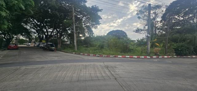 ��·��Թ �ҧᤡ�ا෾