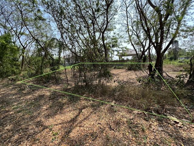 ��·��Թ ���ͧ˹ͧ��� ˹ͧ���