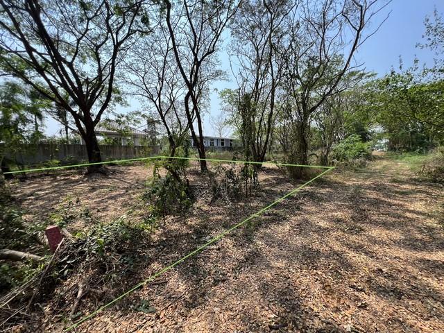 ��·��Թ ���ͧ˹ͧ��� ˹ͧ���