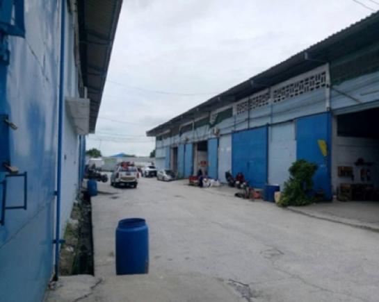 �ç�ҹ������ �ҧ��� ��طû�ҡ��