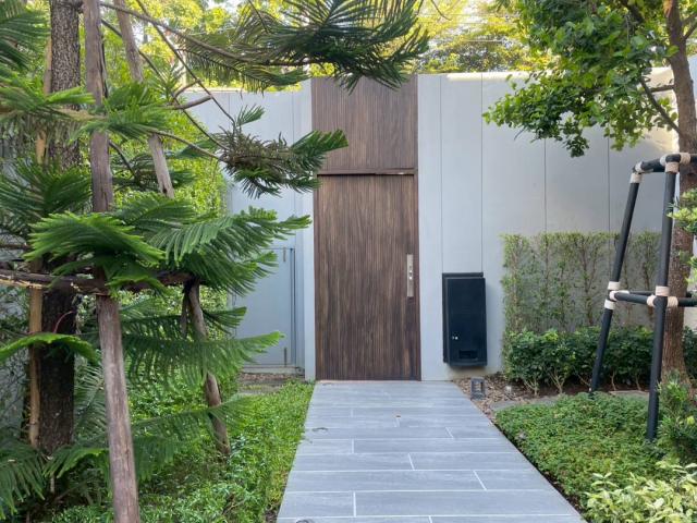 ��º�ҹ ���ͧ��§���� ��§����