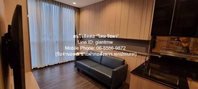 �͹������� �Թᴧ��ا෾