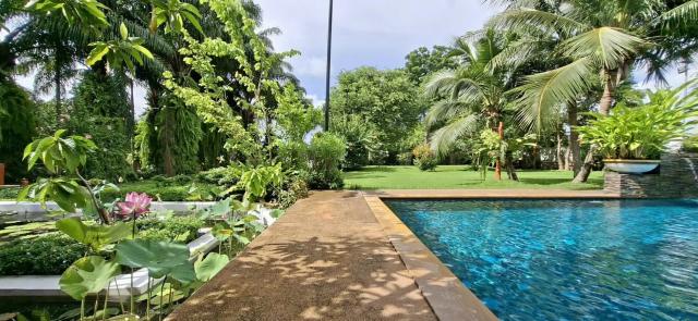 ��º�ҹ �ҧ���ا �ź���