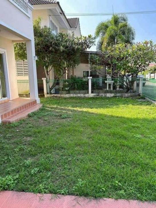 ��º�ҹ �ѹ���� ��§����