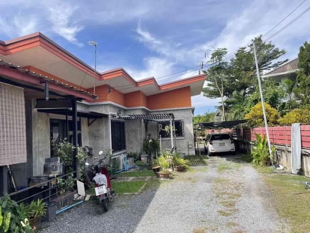 ��º�ҹ �ѹ���� ��§����