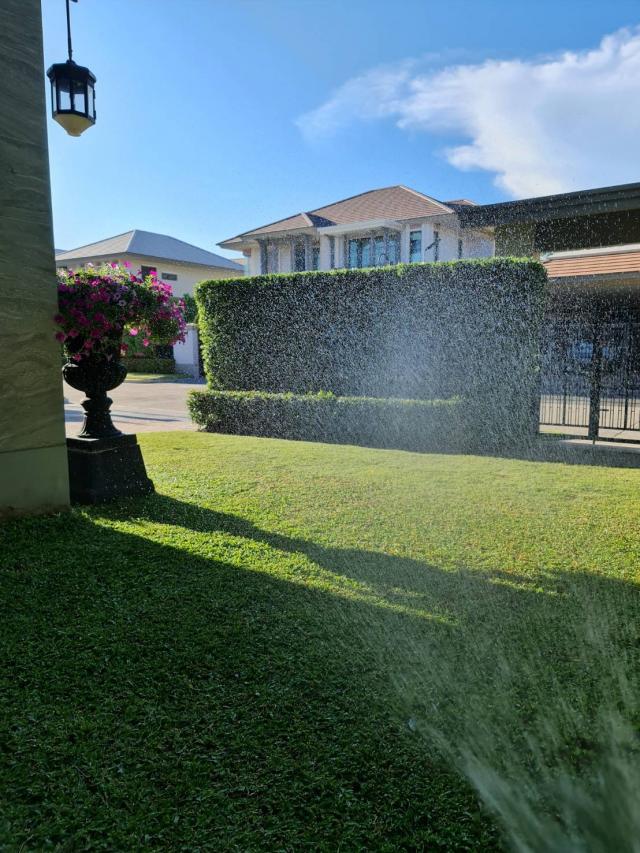 ��º�ҹ �ҧ�ع��¹��ا෾