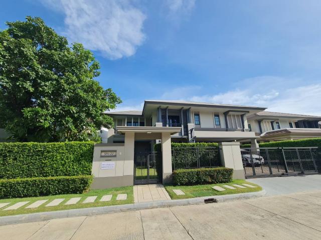 ��º�ҹ �ҧ�ع��¹��ا෾