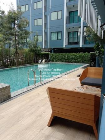 �͹������� �ѹ����ǡ�ا෾