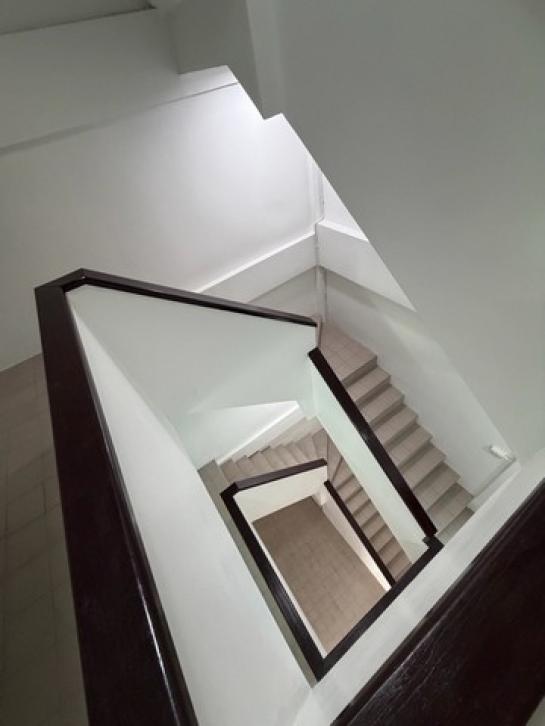 ��ҹ������ �ҧ�ҡ�ا෾