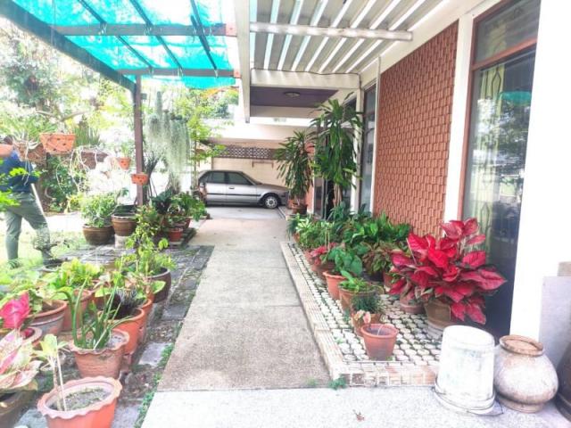 ��º�ҹ ���ͧ������� �������