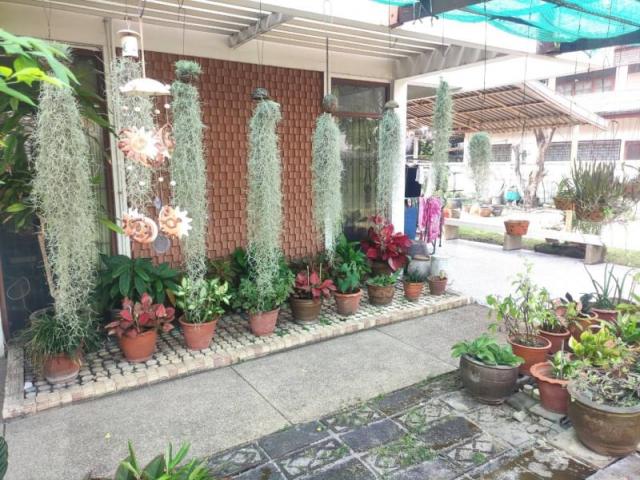 ��º�ҹ ���ͧ������� �������