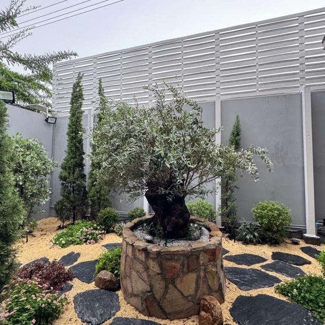 ��º�ҹ �ҧ�лԡ�ا෾