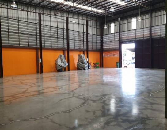 �ç�ҹ������ �ҧ�ع��¹��ا෾