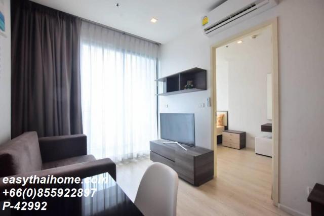 �͹������� �Թᴧ��ا෾