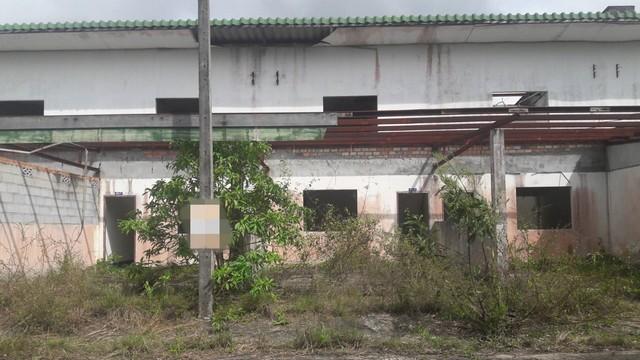 ��·�ǹ���� �Ҵ�˭� ʧ���