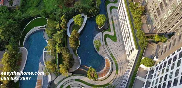 ��¤͹� �ҧ�ҡ�ا෾