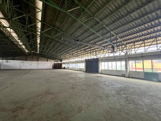 ����ç�ҹ �ҧ�����طû�ҡ��