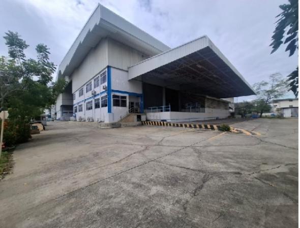 �ç�ҹ������ �ҧ��Ҹ� ��طû�ҡ��