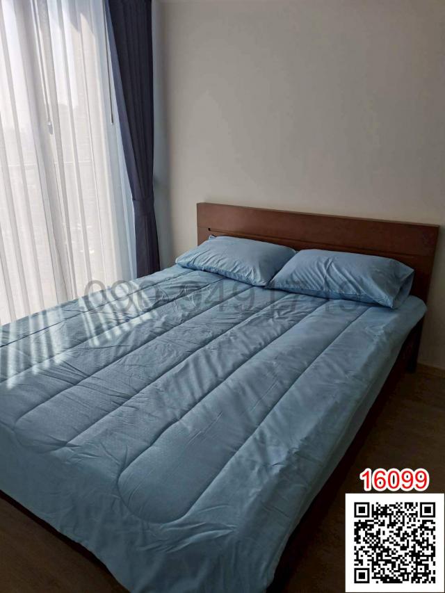 �͹������� �Ѳ�ҡ�ا෾