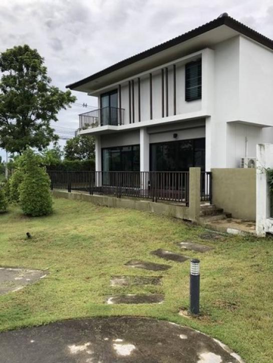 ��ҹ������ �ѹ��ᾧ ��§����