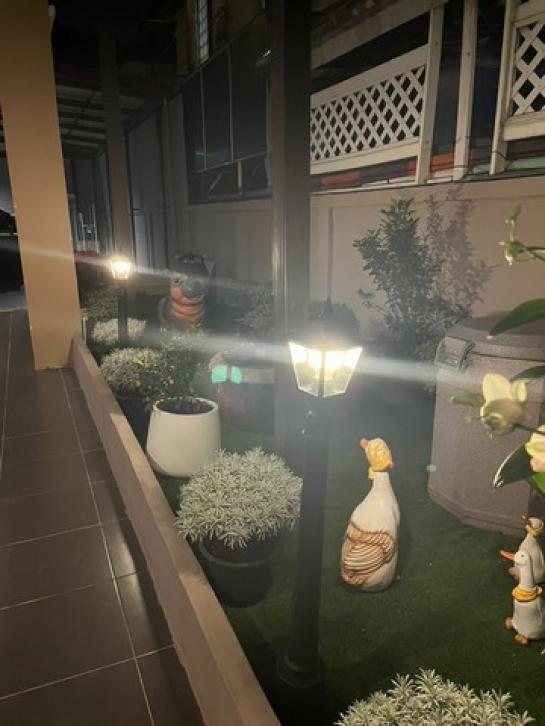 ��ҹ������ ��������ا෾