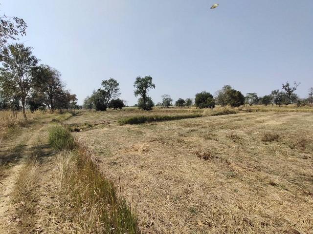 ��·��Թ �����ŧ ����Ҫ����