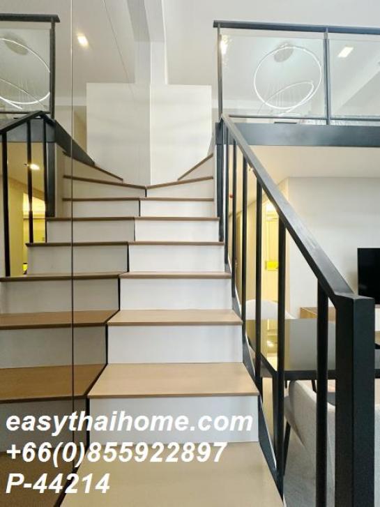 �͹������� ��ͧ�¡�ا෾