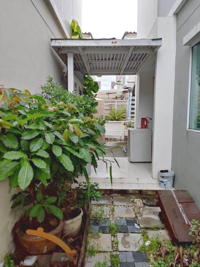 ��º�ҹ �ҧ��� ��طû�ҡ��