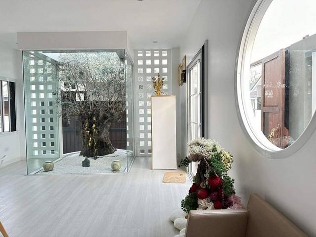 ��º�ҹ ���ͧ��§���� ��§����