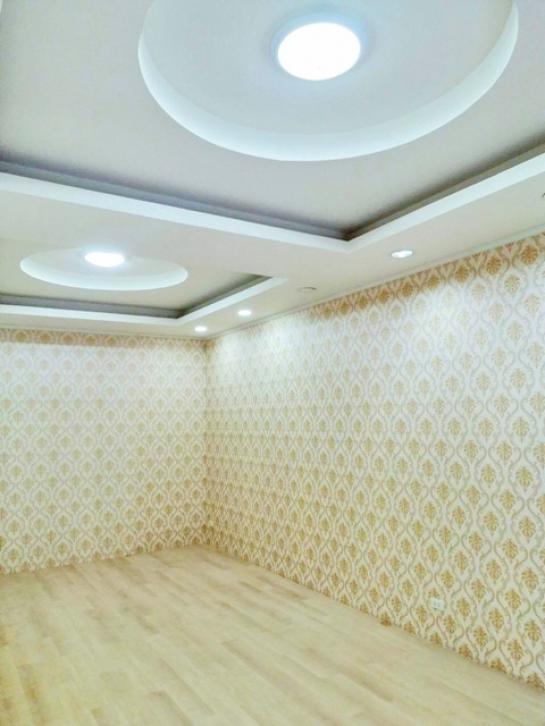 �Ҥ�þҳԪ�������� �ҧ�ع��¹��ا෾