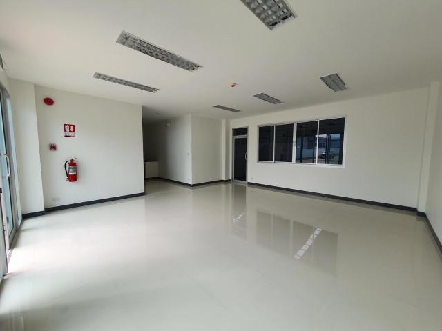 �ç�ҹ������ �ҧ�����طû�ҡ��